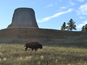 Devil's Tower National Monument