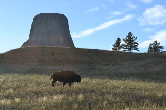 Devil's Tower National Monument