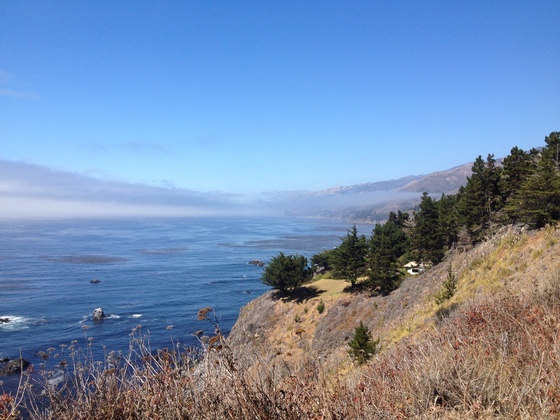 Los Padres National Forest