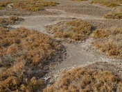 Death Valley National Park