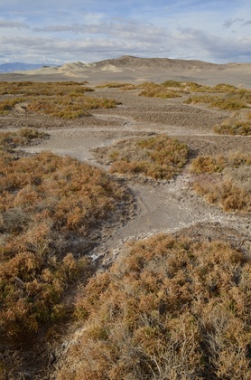Death Valley National Park