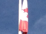The Canadian Flag