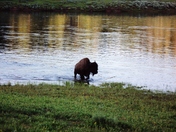 Yellowstone National Park