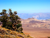 Death Valley National Park