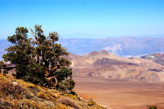 Death Valley National Park