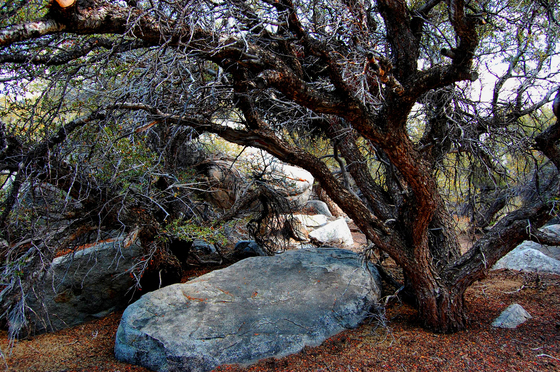 Death Valley National Park