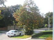 Brampton, Ont. Geographic Elements 