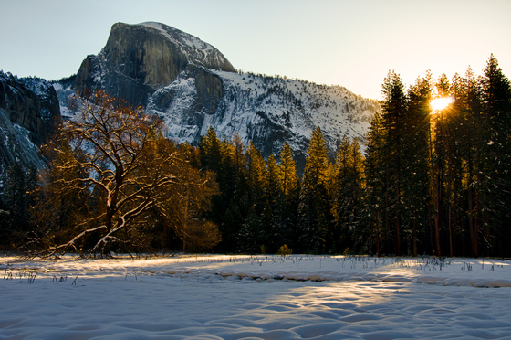 Yosemite National Park