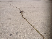 The Landscapes that we change