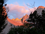 Mt Whitney/Inyo National Forest