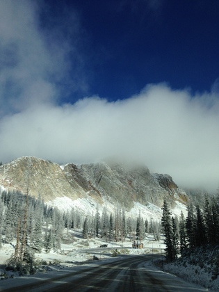 Medicine Bow-Routt National Forest