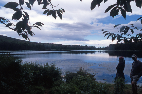 Green Mountain National Forest