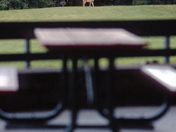 Saratoga National Historical Park