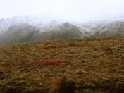 Denali National Park
