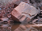 Zion National Park