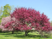 Spring at it's best!