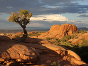 Arches National Park