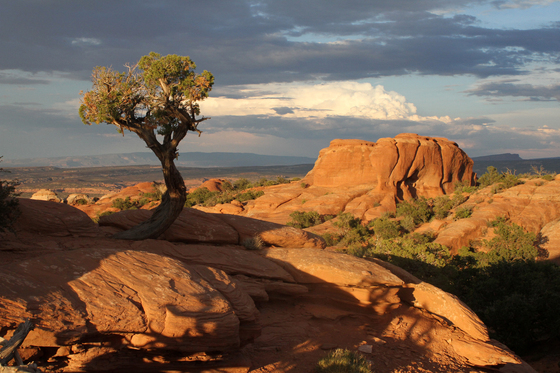 Arches National Park
