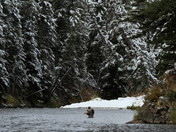 Gallatin National Forest