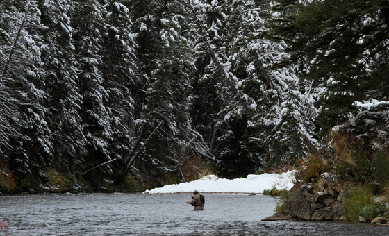 Gallatin National Forest