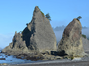 Olympic National Park