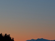 Tongass National Forest