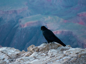Grand Canyon National Park