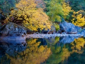 Yosemite National Park