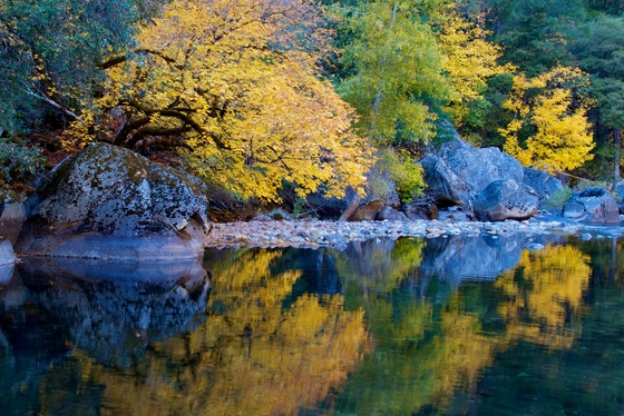 Yosemite National Park