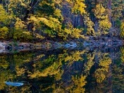 Yosemite National Park