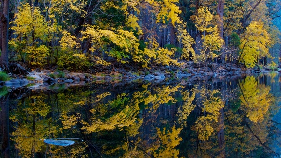 Yosemite National Park