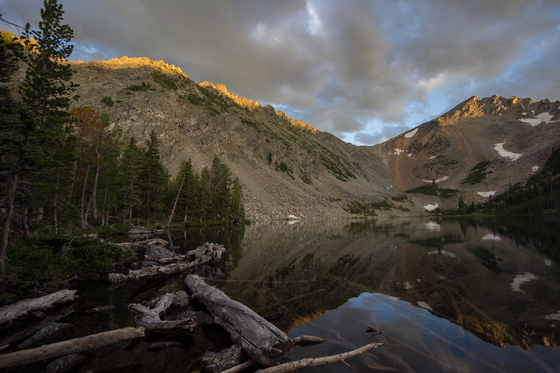 Beaverhead-Deerlodge National Forest