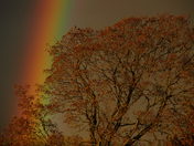 Colorful Autumn Sunset