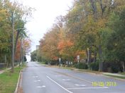 Autumn Colours over Palmer Road Belleville 