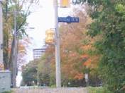 Autumn Colours on Palmer Road