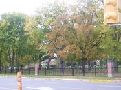 Autumn at Sir james whitney School Belleville