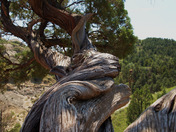 Theodore Roosevelt National Park