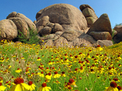 wichita mountains wildlife refuge