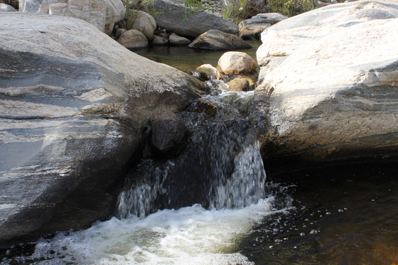 Sabino Canyon