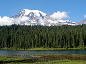 Mount Rainier National Park