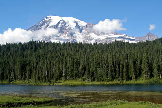 Mount Rainier National Park