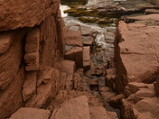 Acadia National Park