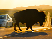 Wichita Mountains Wildlife Refuge