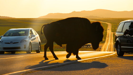 Wichita Mountains Wildlife Refuge