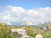 Rocky Mountain National Park