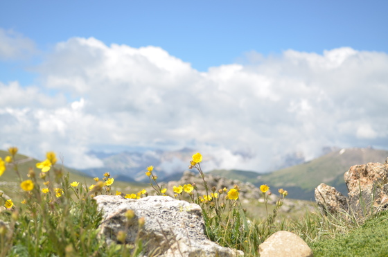 Rocky Mountain National Park