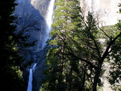 Yosemite National Park