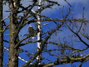 Lassen Volcanic National Park 