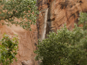 Zion National Park