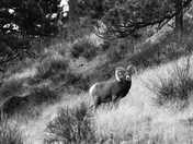 Rocky Mountain National Park